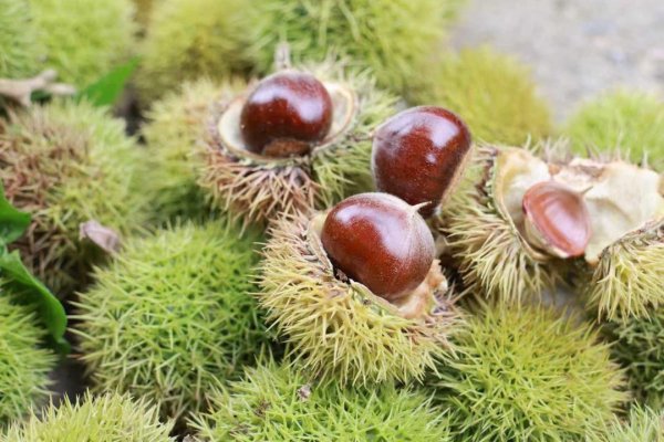 亿米网 济南市南部山区：看见富美乡村新范式