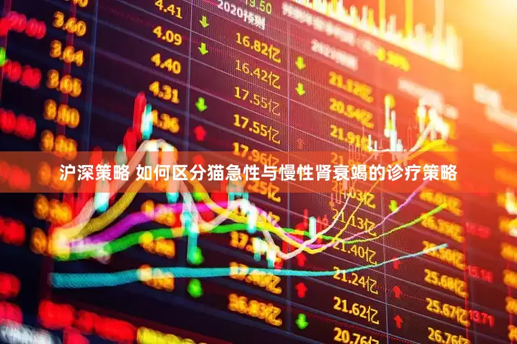沪深策略 如何区分猫急性与慢性肾衰竭的诊疗策略